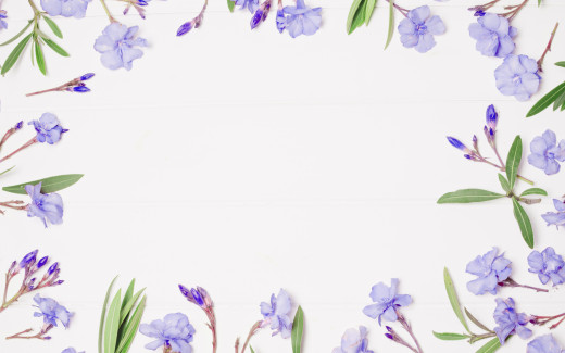 1592526 (a): :2880x1800